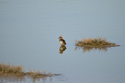 BUITEN BEELD Foto: 54459