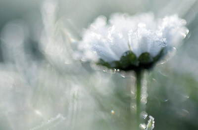 BUITEN BEELD Foto: 54493