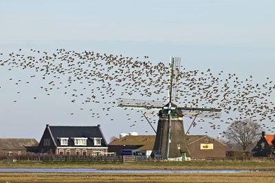 BUITEN BEELD Foto: 54505