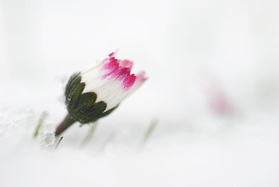 BUITEN BEELD Foto: 54508