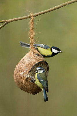 BUITEN BEELD Foto: 54515