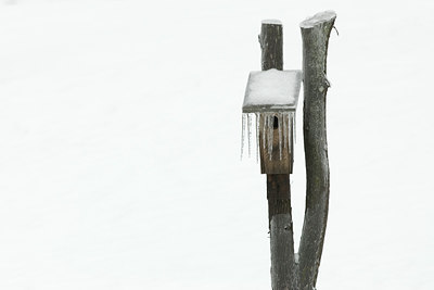 BUITEN BEELD Foto: 54578