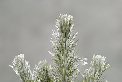 BUITEN BEELD Foto: 54605