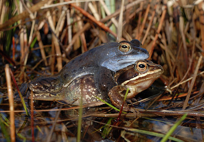 BUITEN BEELD Foto: 54626