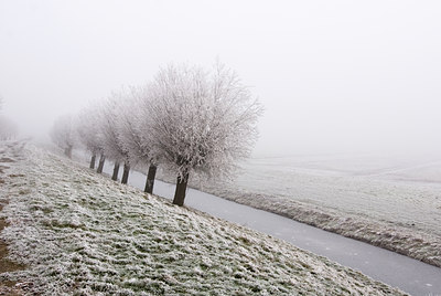 BUITEN BEELD Foto: 54634
