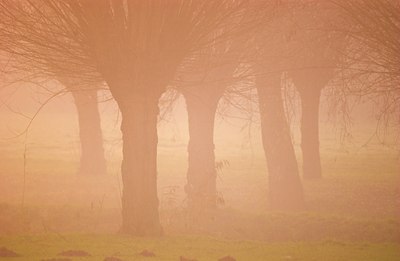 BUITEN BEELD Foto: 54638