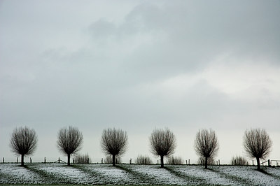 BUITEN BEELD Foto: 54639