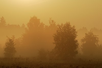 BUITEN BEELD Foto: 54647