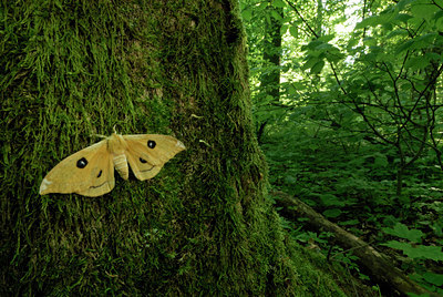BUITEN BEELD Foto: 54656