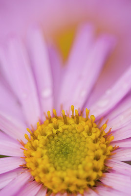 BUITEN BEELD Foto: 54678