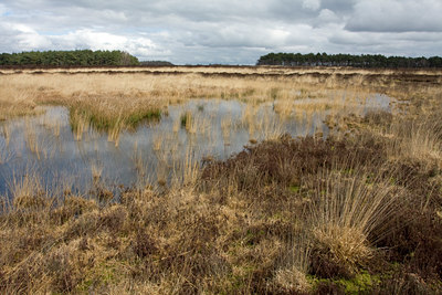 BUITEN BEELD Foto: 54709