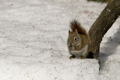 BUITEN BEELD Foto: 54781