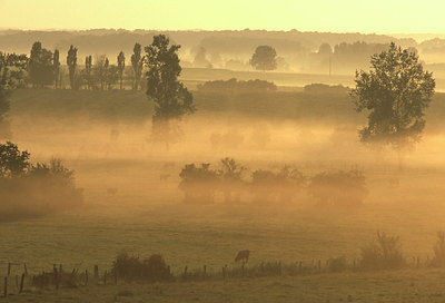 BUITEN BEELD Foto: 54844