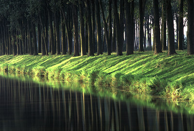 BUITEN BEELD Foto: 54849