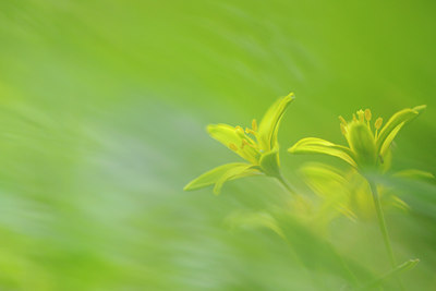 BUITEN BEELD Foto: 54853