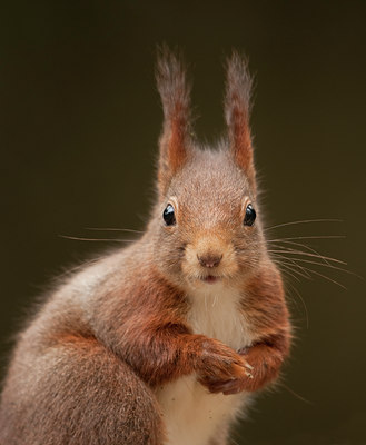 BUITEN BEELD Foto: 54855