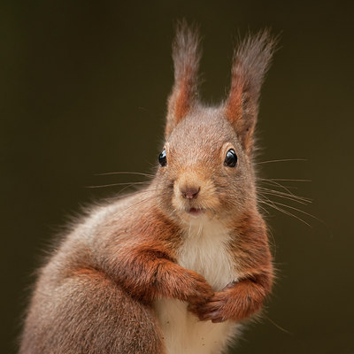 BUITEN BEELD Foto: 54856