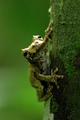 BUITEN BEELD Foto: 54880
