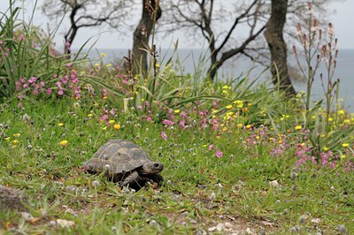 BUITEN BEELD Foto: 54903
