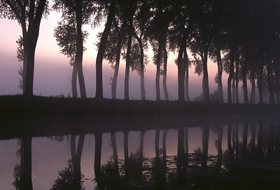 BUITEN BEELD Foto: 54932