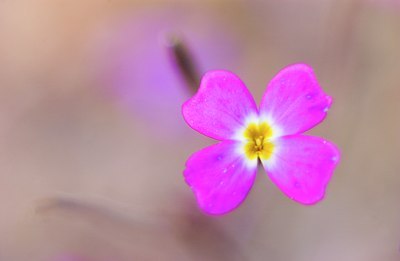 BUITEN BEELD Foto: 54949