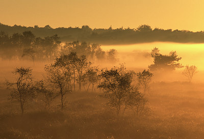 BUITEN BEELD Foto: 54978