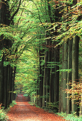 BUITEN BEELD Foto: 54989