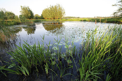 BUITEN BEELD Foto: 55010