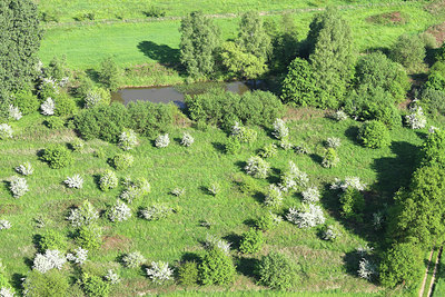 BUITEN BEELD Foto: 55030
