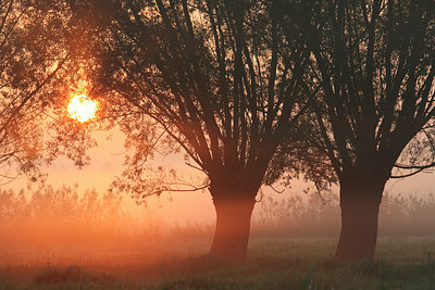 BUITEN BEELD Foto: 55034