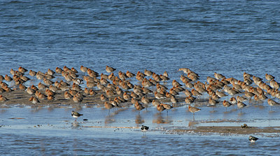 BUITEN BEELD Foto: 55044