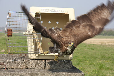 BUITEN BEELD Foto: 55064