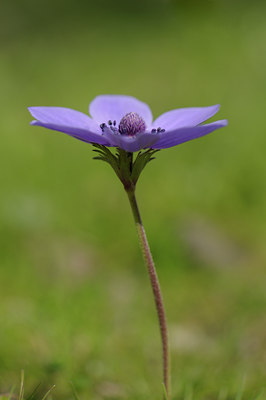BUITEN BEELD Foto: 55148