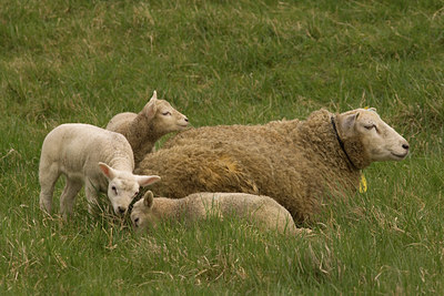 BUITEN BEELD Foto: 55165