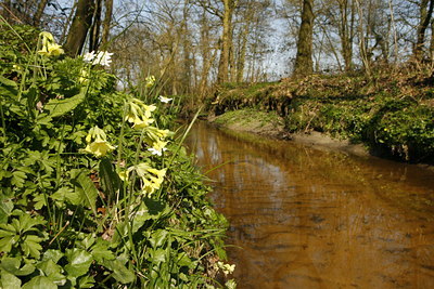 BUITEN BEELD Foto: 55175