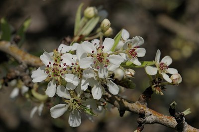 BUITEN BEELD Foto: 55198