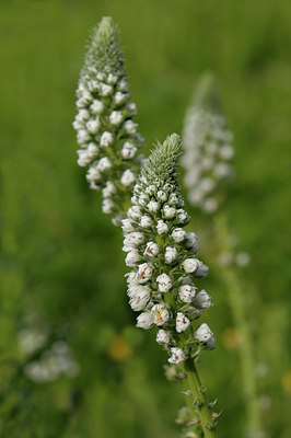 BUITEN BEELD Foto: 55202