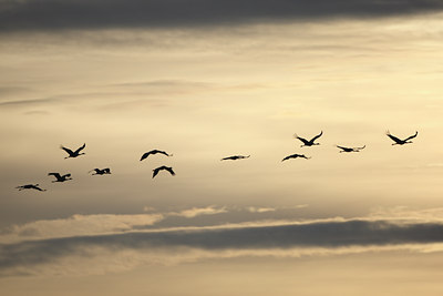 BUITEN BEELD Foto: 55230