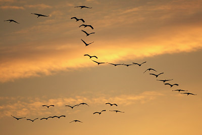 BUITEN BEELD Foto: 55256