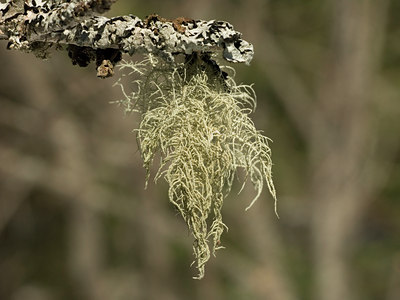 BUITEN BEELD Foto: 55286
