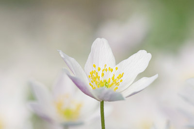 BUITEN BEELD Foto: 55358