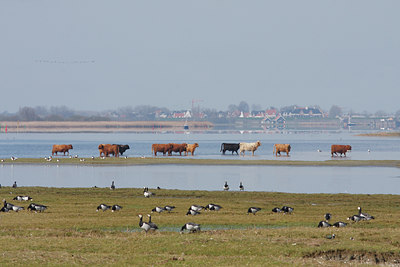BUITEN BEELD Foto: 55359
