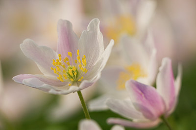 BUITEN BEELD Foto: 55360