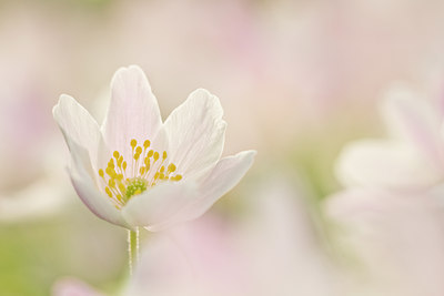 BUITEN BEELD Foto: 55364