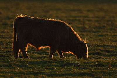 BUITEN BEELD Foto: 55373
