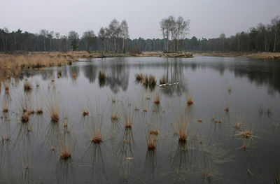 BUITEN BEELD Foto: 55409