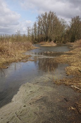 BUITEN BEELD Foto: 55429