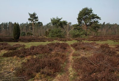 BUITEN BEELD Foto: 55481