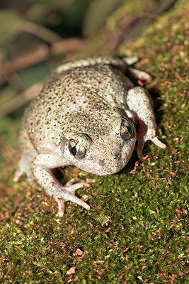 BUITEN BEELD Foto: 55538