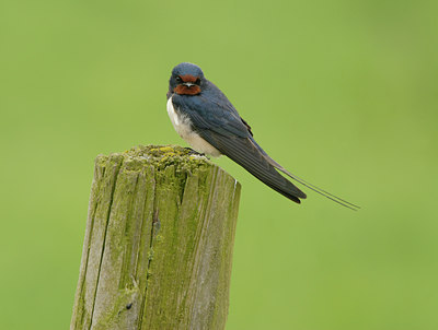 BUITEN BEELD Foto: 55567